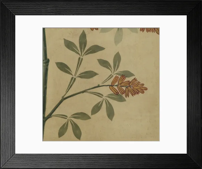 Framed Print : Detail of decorative ceiling panel Framed Print : Detail of decorative ceiling panel