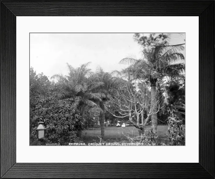 Framed Print : The Governors Croquet Ground, Bermuda 1873