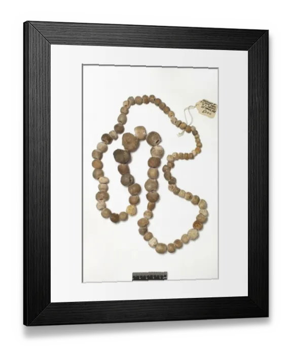 Framed Print : Porosphaera (sponge) necklace Framed Print : Porosphaera (sponge) necklace