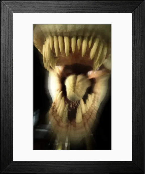 Framed Print : Tyrannosaurus rex Framed Print : Tyrannosaurus rex