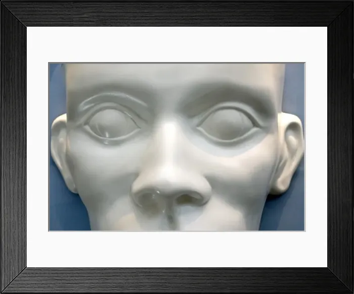 Framed Print : Exhibit from the Human Biology gallery Framed Print : Exhibit from the Human Biology gallery