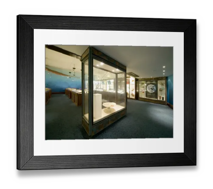 Framed Print : Marine Invertebrates