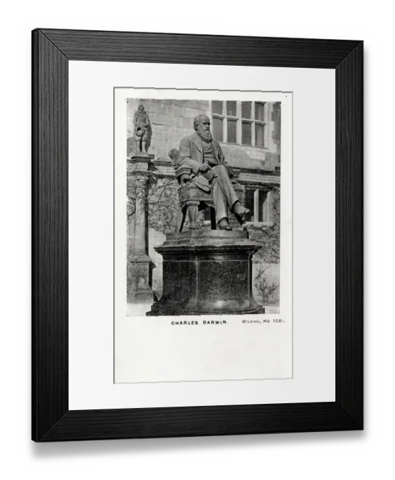Framed Print : Charles Robert Darwin (1809-1882) Framed Print : Charles Robert Darwin (1809-1882)