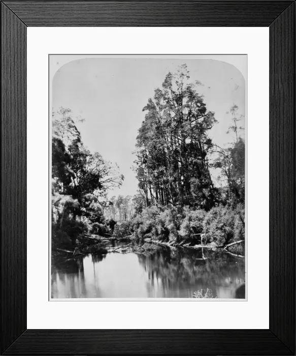 Framed Print : River scenery. New Zealand Framed Print : River scenery. New Zealand