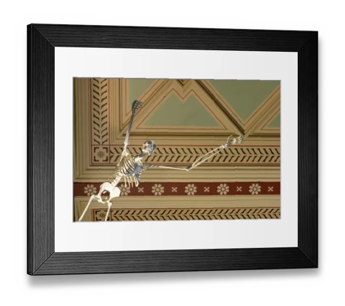 Framed Print : Gibbon, Hylobates lar Framed Print : Gibbon, Hylobates lar