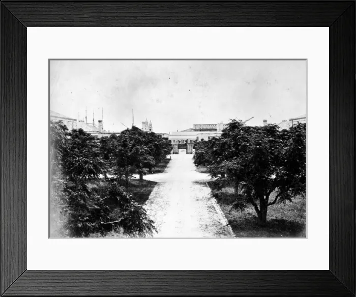 Framed Print : The Dockyard Gardens, Bermuda 1873 Framed Print : The Dockyard Gardens, Bermuda 1873