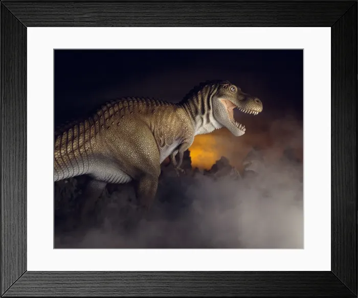 Framed Print : Tyrannosaurus rex Framed Print : Tyrannosaurus rex