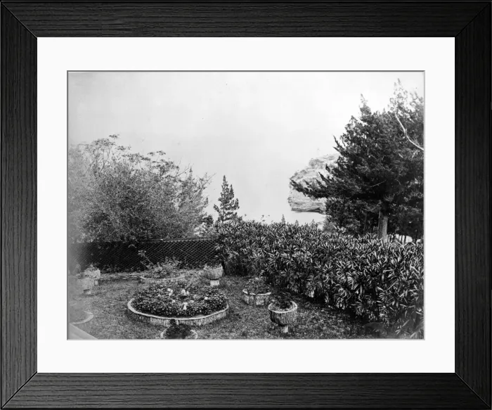 Framed Print : The Admirals Garden, Clarence Cove, Bermuda 1873 Framed Print : The Admirals Garden, Clarence Cove, Bermuda 1873