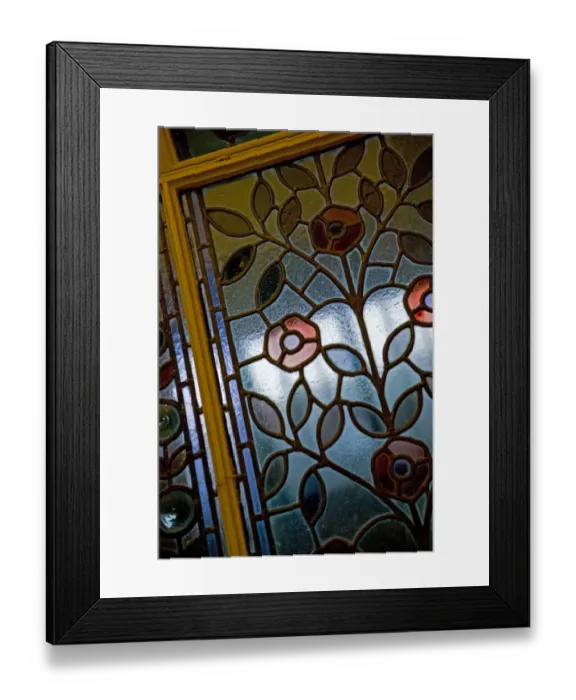 Framed Print : Darwins Canopy Gallery at the north end of the Central Hall Framed Print : Darwins Canopy Gallery at the north end of the Central Hall