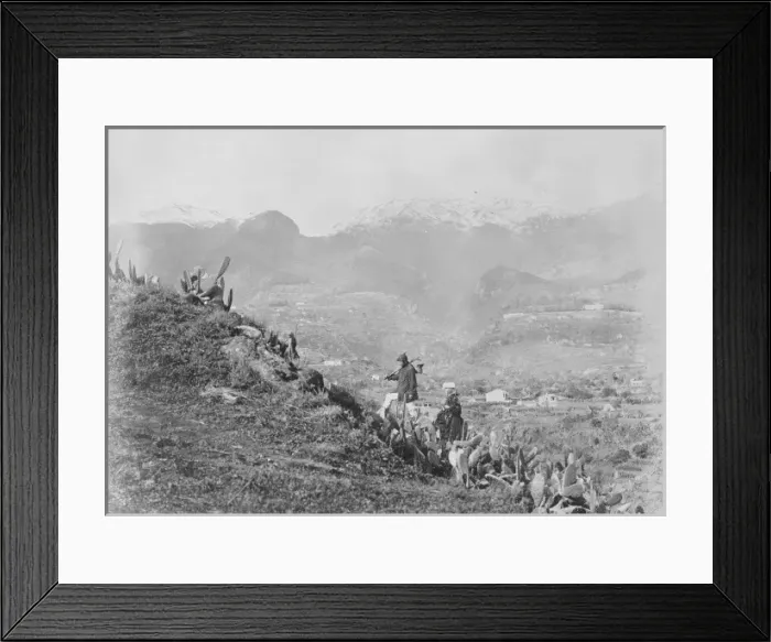 Framed Print : Distant mountains with snow, cactus in foreground Framed Print : Distant mountains with snow, cactus in foreground