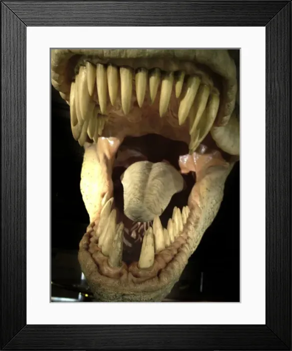 Framed Print : Tyrannosaurus rex Framed Print : Tyrannosaurus rex