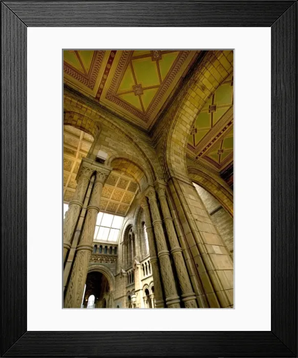 Framed Print : Architectural features of the Main Hall Framed Print : Architectural features of the Main Hall