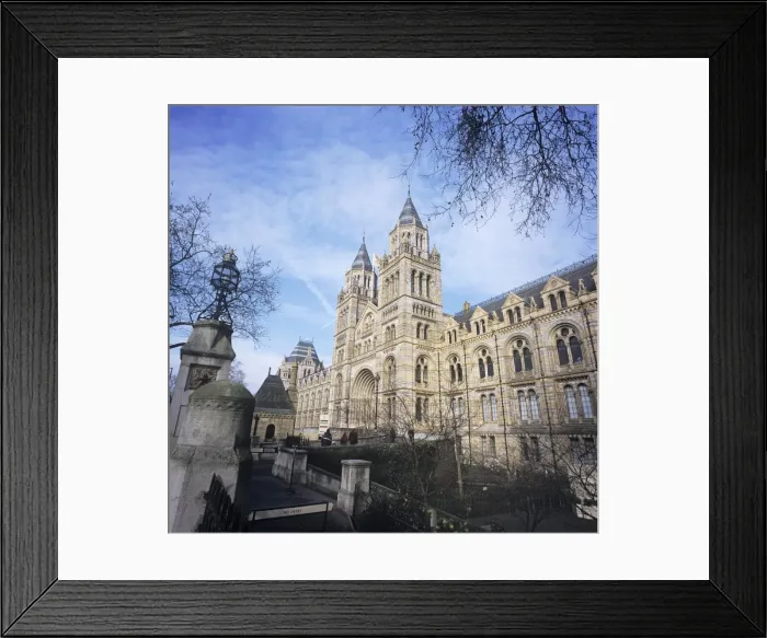 Framed Print : Natural History Museum, London Framed Print : Natural History Museum, London