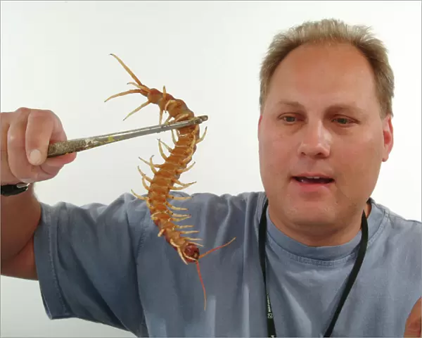 Stuart Hine with Scolopendra gigantea, giant centipede