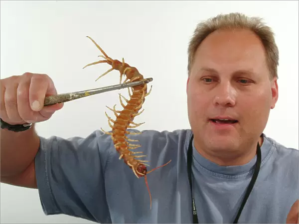 Stuart Hine with Scolopendra gigantea, giant centipede