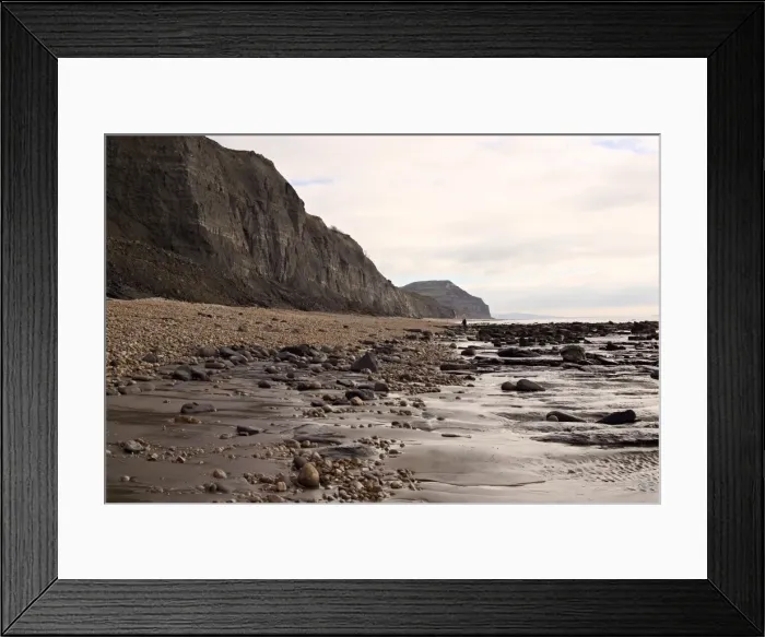 Framed Print : Excavating at Charmouth Framed Print : Excavating at Charmouth