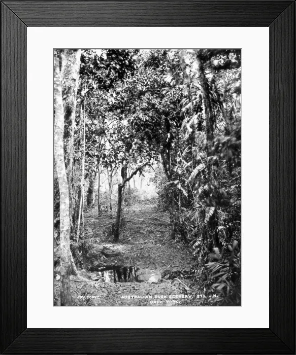 Framed Print : Bush scenery, Cape York Framed Print : Bush scenery, Cape York