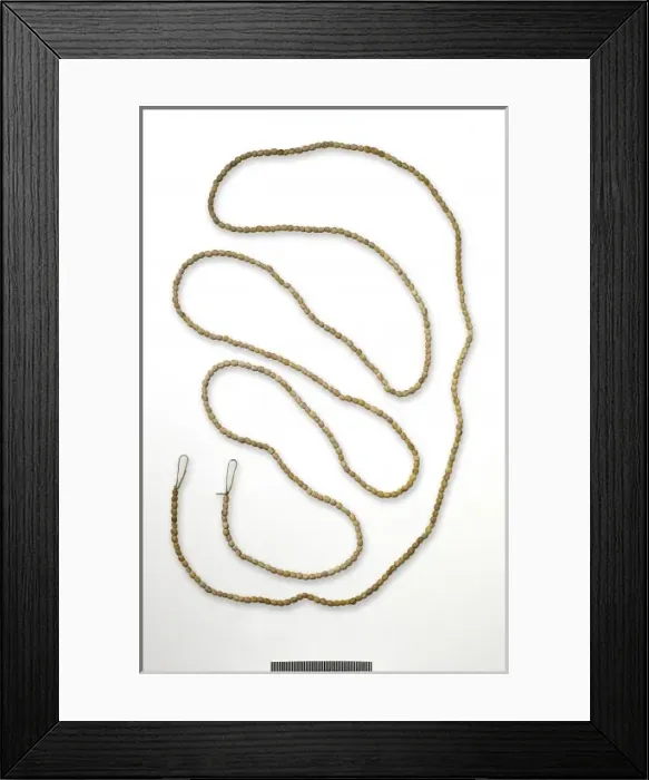 Framed Print : Native necklace of fossil foraminifera (Alveolinae) Framed Print : Native necklace of fossil foraminifera (Alveolinae)