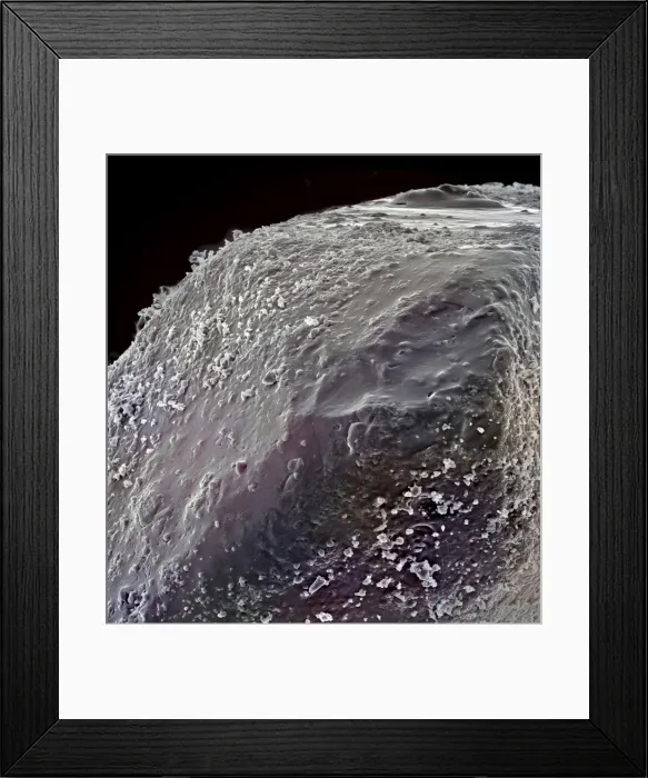 Framed Print : Sugar grains Framed Print : Sugar grains