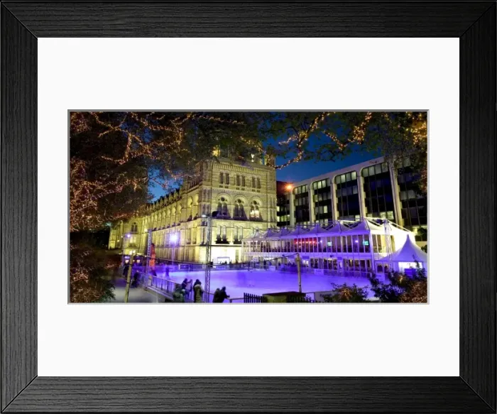 Framed Print : The ice rink at the Natural History Museum, London Framed Print : The ice rink at the Natural History Museum, London