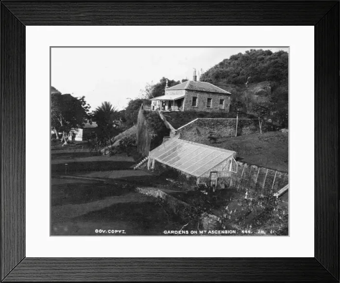 Framed Print : Gardens on Green Mountain, Ascension Island Framed Print : Gardens on Green Mountain, Ascension Island