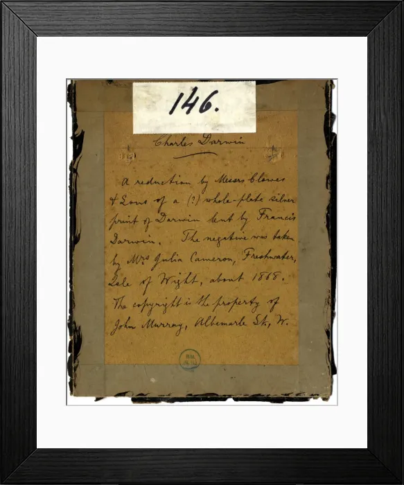 Framed Print : Charles Robert Darwin (1809-1881) Framed Print : Charles Robert Darwin (1809-1881)
