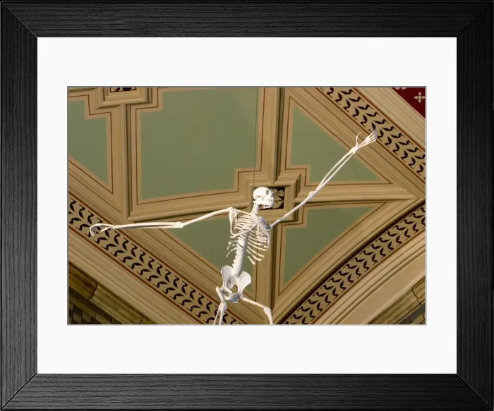 Framed Print : Gibbon, Hylobates lar Framed Print : Gibbon, Hylobates lar