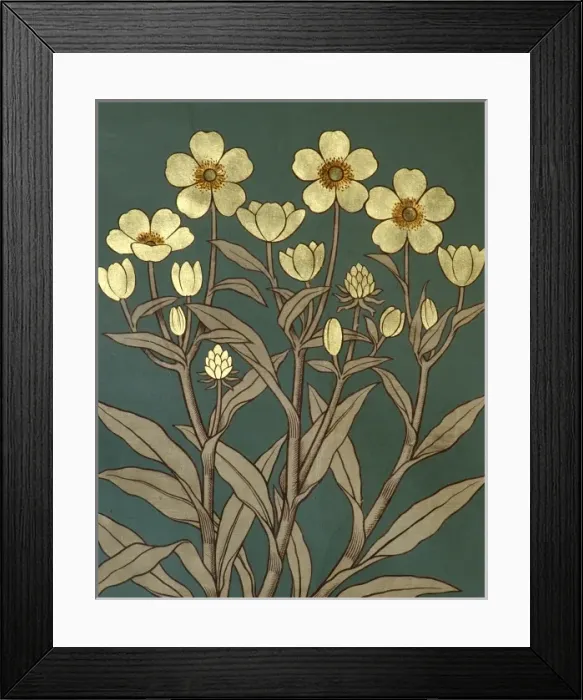 Framed Print : Ranunculus lingua, greater spearwort Framed Print : Ranunculus lingua, greater spearwort