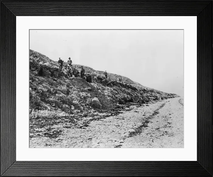 Framed Print : Bone diggers, Elizabeth Island, Strait of Magellan Framed Print : Bone diggers, Elizabeth Island, Strait of Magellan