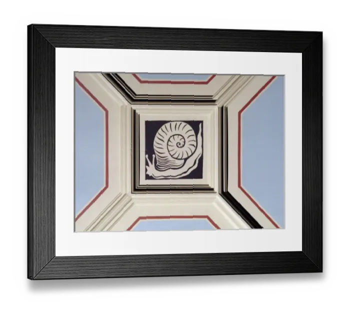 Framed Print : Snail ceiling panel Framed Print : Snail ceiling panel