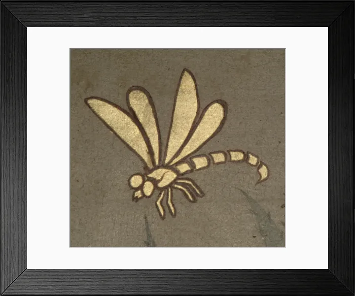 Framed Print : Dragonfly from decorative ceiling panels Framed Print : Dragonfly from decorative ceiling panels