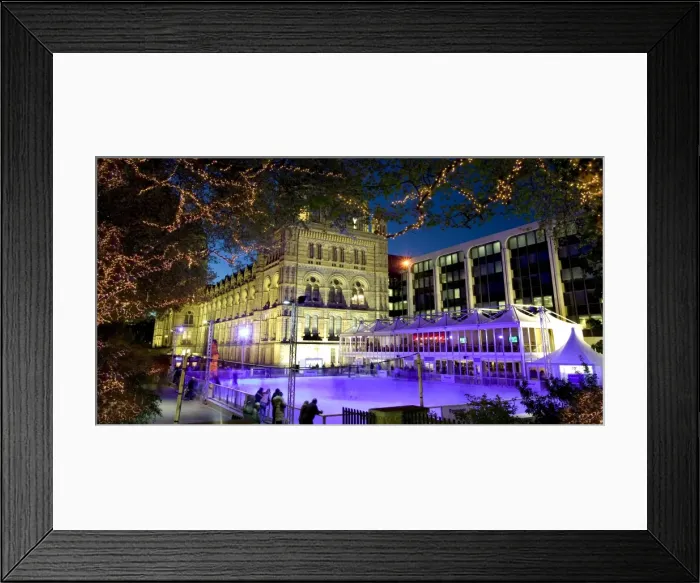Framed Print : The ice rink at the Natural History Museum, London Framed Print : The ice rink at the Natural History Museum, London