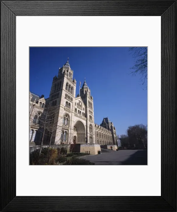 Framed Print : Natural History Museum, London Framed Print : Natural History Museum, London