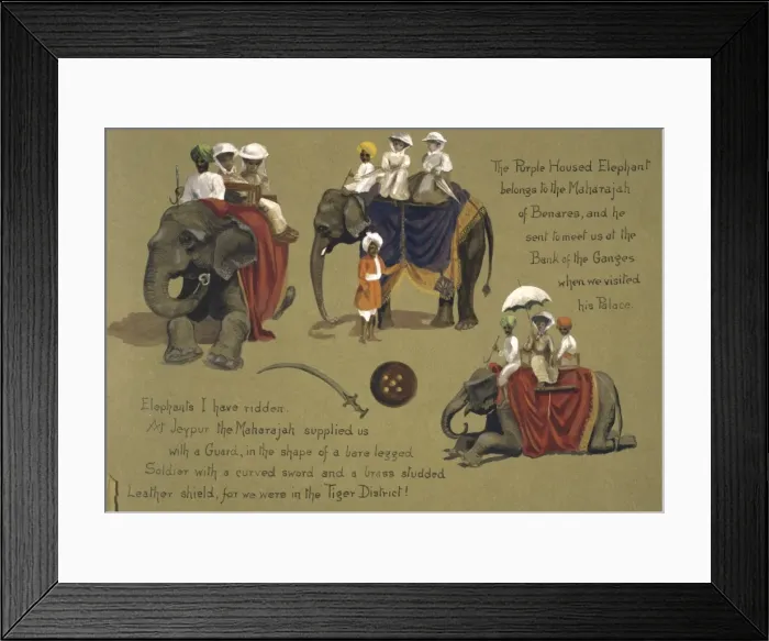 Framed Print : Elephas maximus, Asian elephant Framed Print : Elephas maximus, Asian elephant
