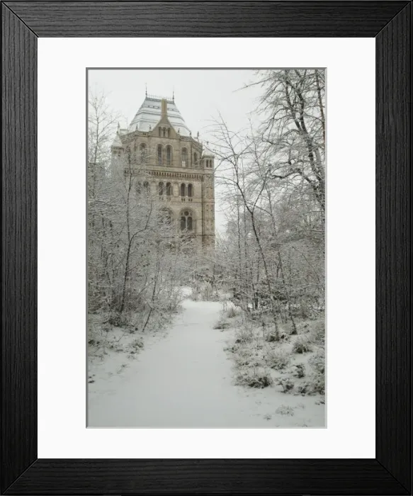 Framed Print : The Wildlife Garden