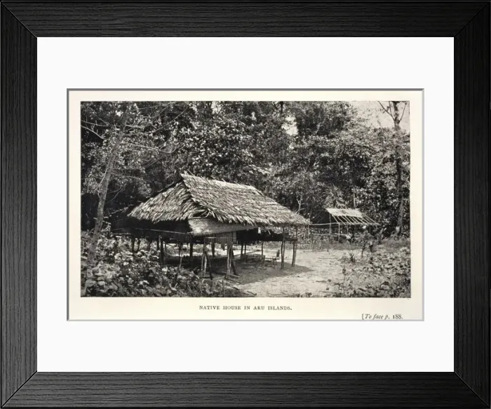 Framed Print : Native house in Aru Framed Print : Native house in Aru