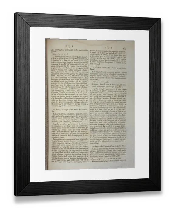 Framed Print : Encyclopedie Methodique Framed Print : Encyclopedie Methodique