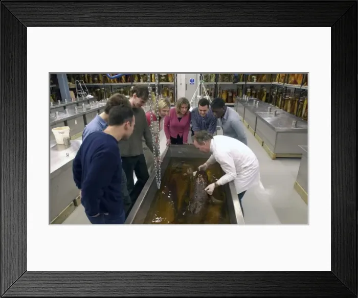 Framed Print : Visitors in the Tank Room in the Darwin Centre Framed Print : Visitors in the Tank Room in the Darwin Centre