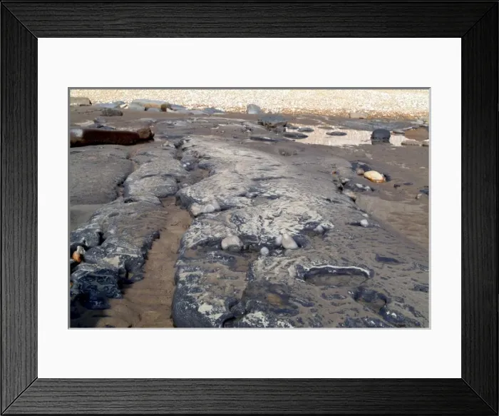Framed Print : Lyme Regis Framed Print : Lyme Regis