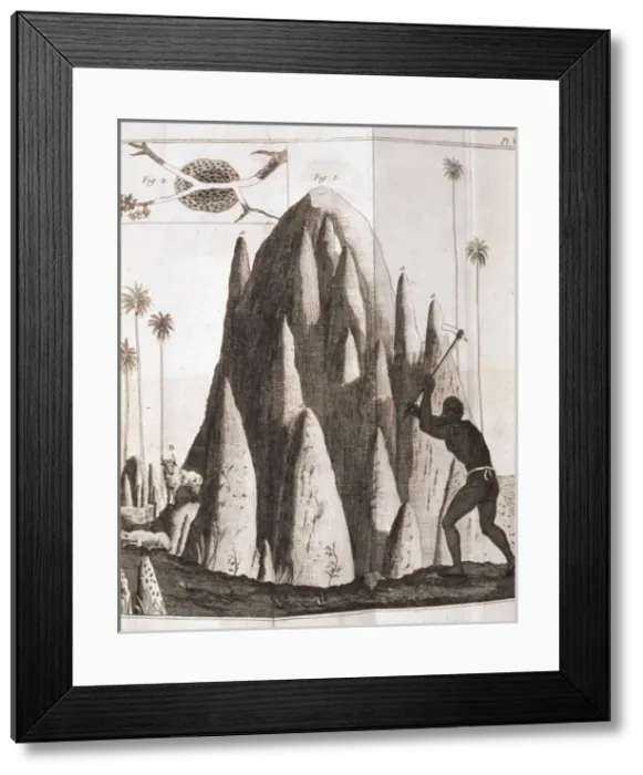 Framed Print : Memoirs sur le Termes Framed Print : Memoirs sur le Termes
