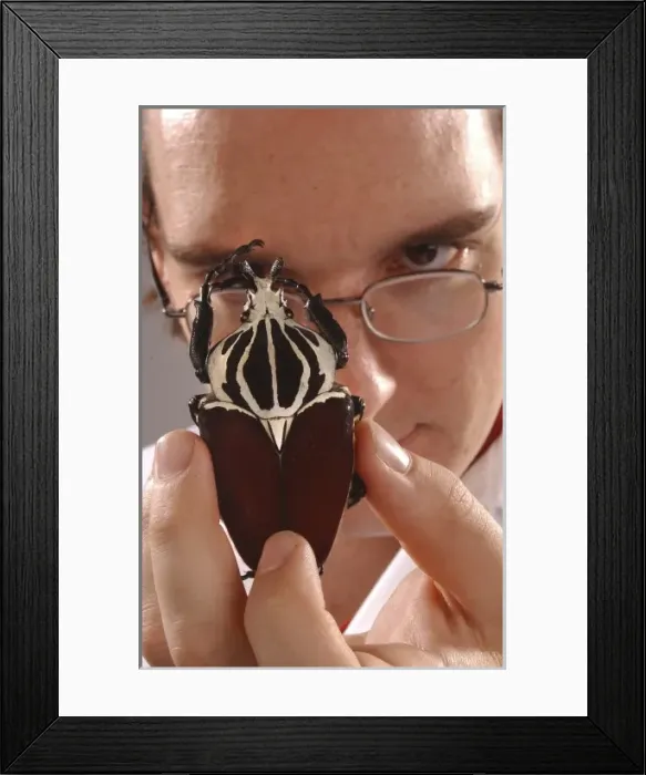 Framed Print : Max Barclay with beetle specimen Framed Print : Max Barclay with beetle specimen