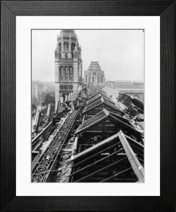 Framed Print : The damaged roof of the Botany Department, 1940 Framed Print : The damaged roof of the Botany Department, 1940