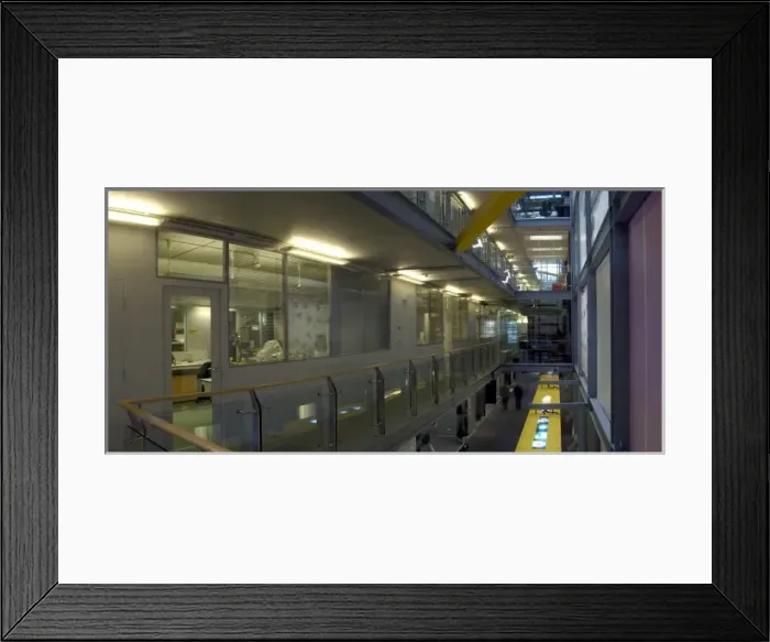 Framed Print : The Darwin Centre Framed Print : The Darwin Centre