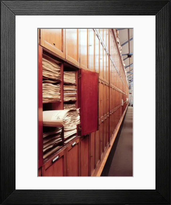 Framed Print : Botanical specimens Framed Print : Botanical specimens