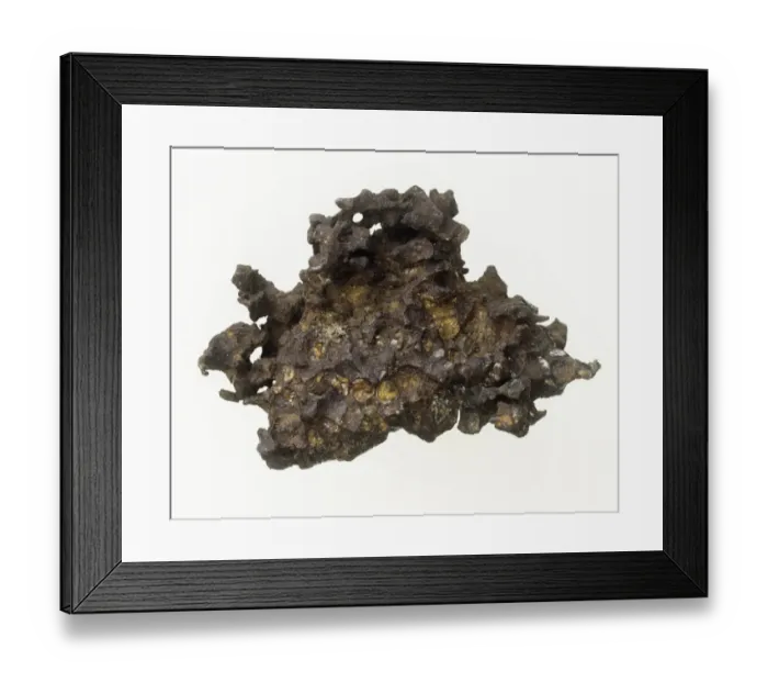 Framed Print : Stony-iron meteorite Framed Print : Stony-iron meteorite