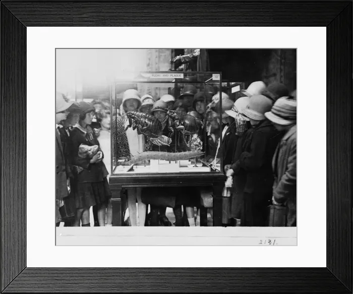 Framed Print : Crowd around flea case, 1927 Framed Print : Crowd around flea case, 1927