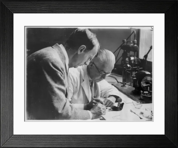 Framed Print : Preliminary flourine test of the Piltdown remains in 1949 Framed Print : Preliminary flourine test of the Piltdown remains in 1949