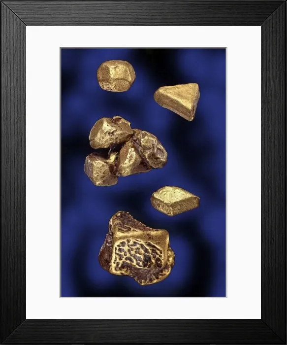 Framed Print : Gold specimens Framed Print : Gold specimens