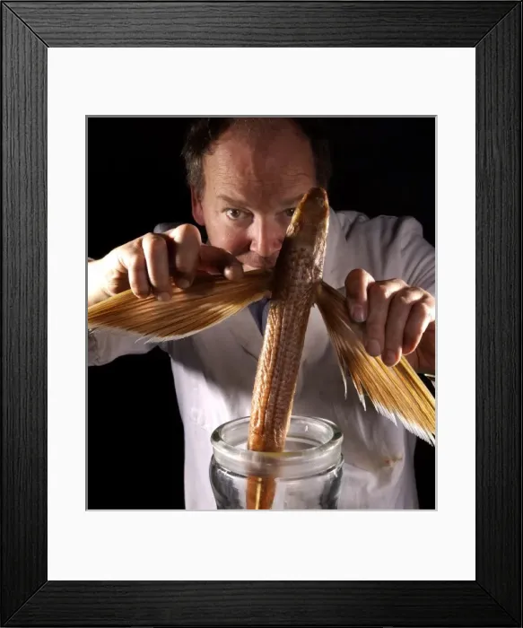 Framed Print : Oliver Crimmen with fish specimen Framed Print : Oliver Crimmen with fish specimen