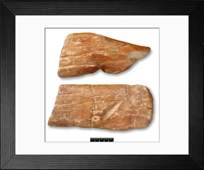 Framed Print : Piltdown cricket bat Framed Print : Piltdown cricket bat